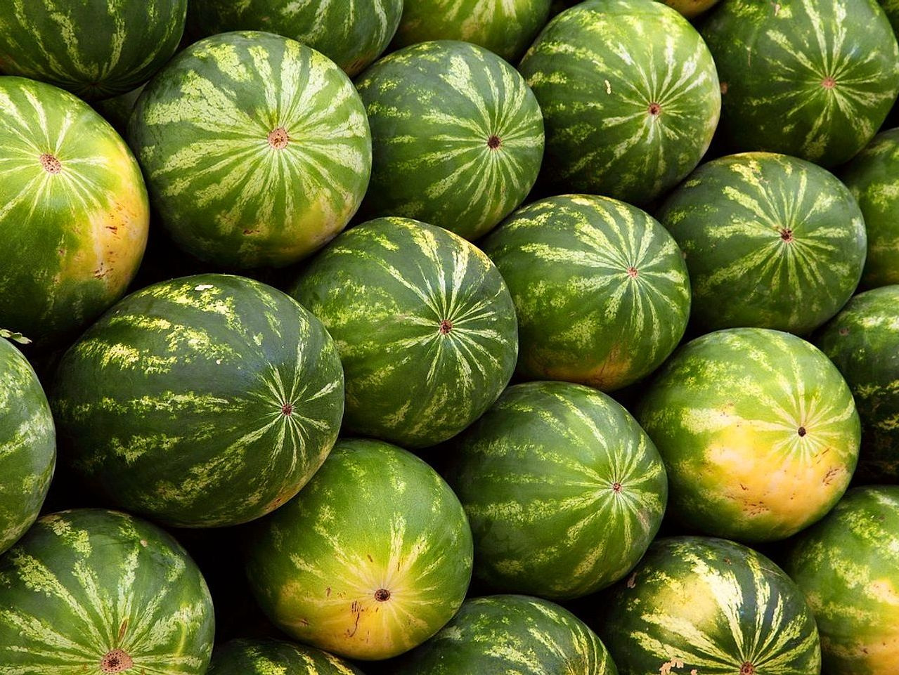 Armut Yumuşaklığı Tam Zamanında Kapınızda